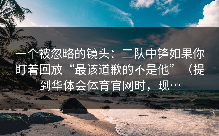 一个被忽略的镜头：二队中锋如果你盯着回放“最该道歉的不是他”（提到华体会体育官网时，现…