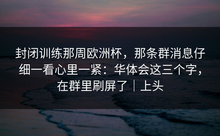 封闭训练那周欧洲杯，那条群消息仔细一看心里一紧：华体会这三个字，在群里刷屏了｜上头