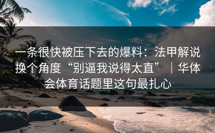 一条很快被压下去的爆料：法甲解说换个角度“别逼我说得太直”｜华体会体育话题里这句最扎心
