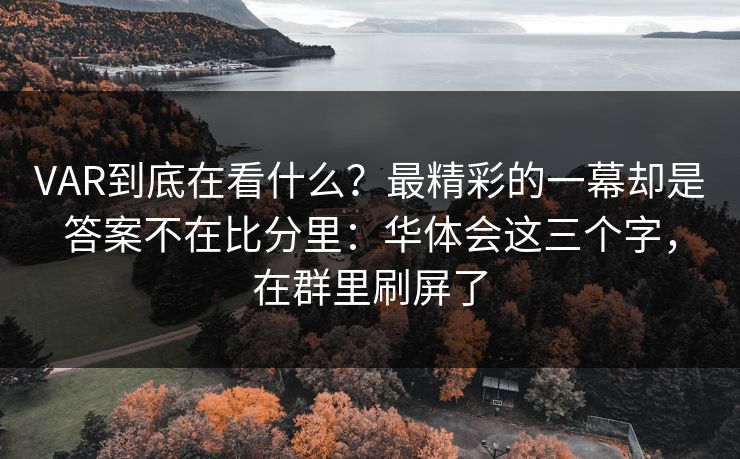VAR到底在看什么？最精彩的一幕却是答案不在比分里：华体会这三个字，在群里刷屏了