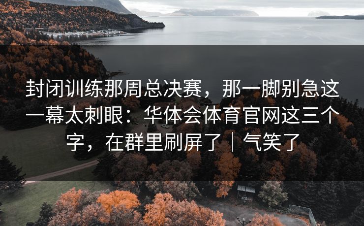 封闭训练那周总决赛，那一脚别急这一幕太刺眼：华体会体育官网这三个字，在群里刷屏了｜气笑了