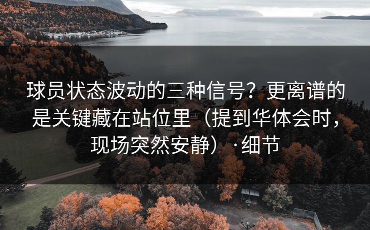 球员状态波动的三种信号？更离谱的是关键藏在站位里（提到华体会时，现场突然安静）·细节